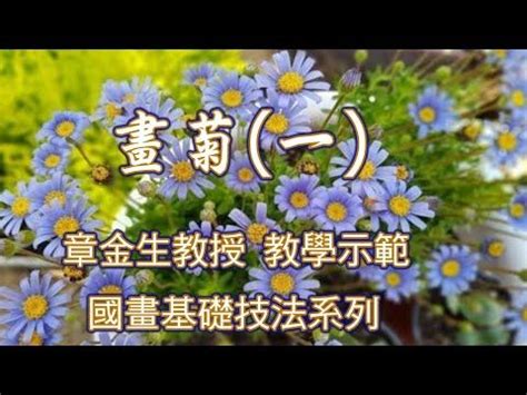 國畫菊花|章金生教授, 國畫教學示範: 畫菊(一) 雛菊, 單瓣菊花,